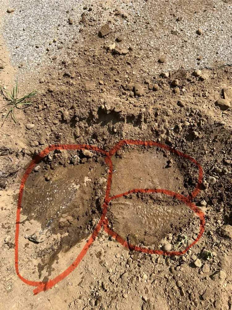 Slide of Whitney Services