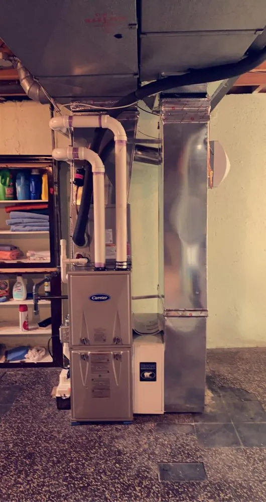 Slide of Whitney Services