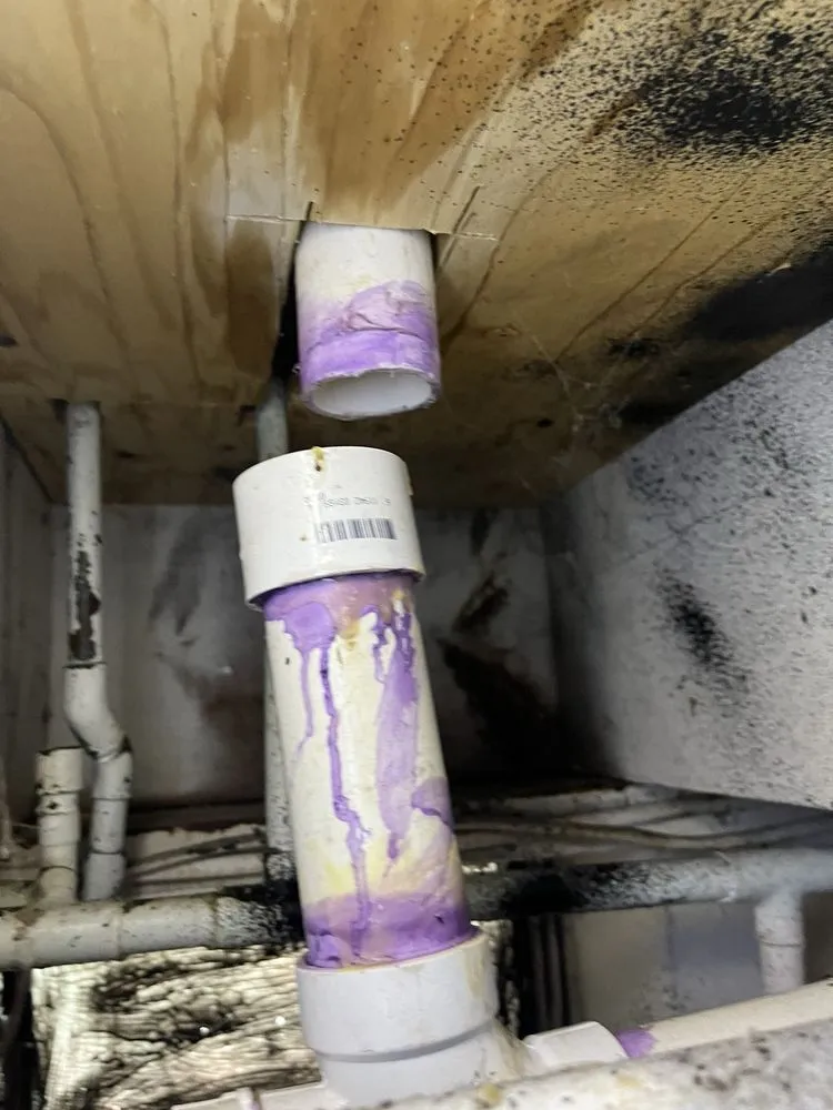 Slide of Whitney Services