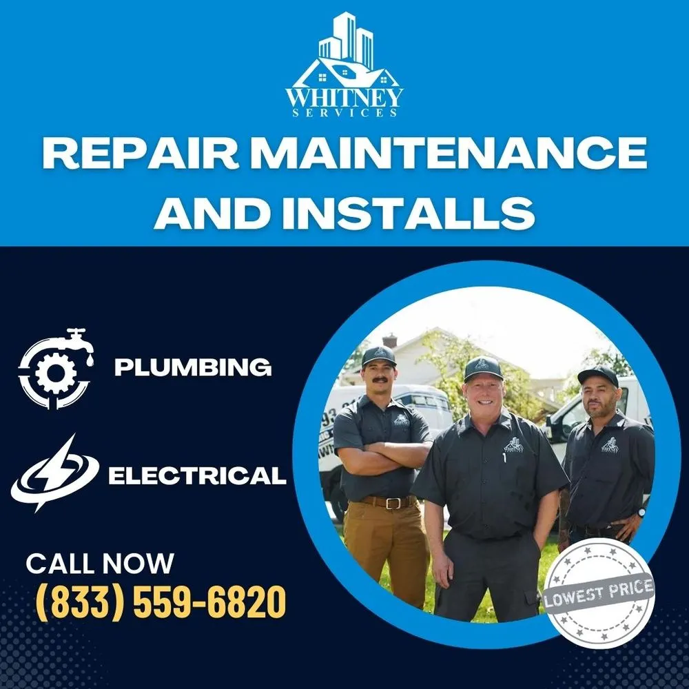 Slide of Whitney Services