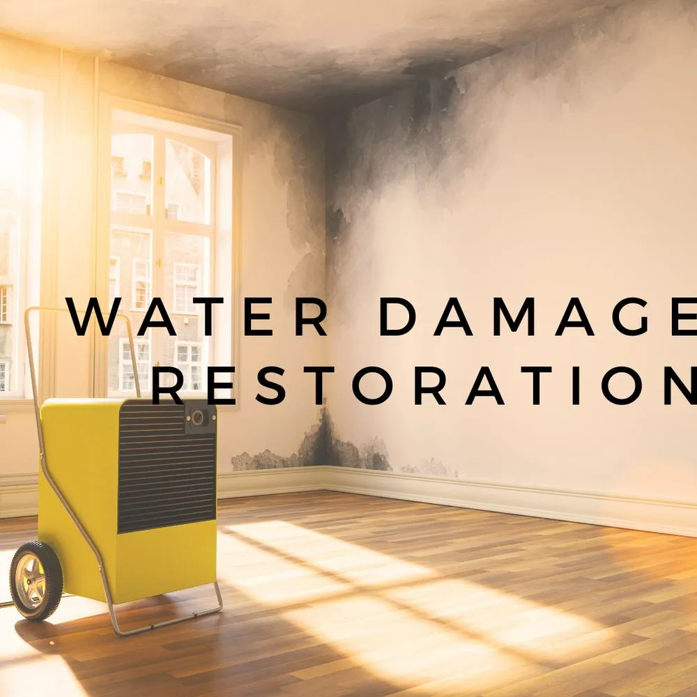 Slide of Whole House Cleaning and Restoration