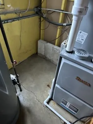 Slide of Whole House Cleaning and Restoration