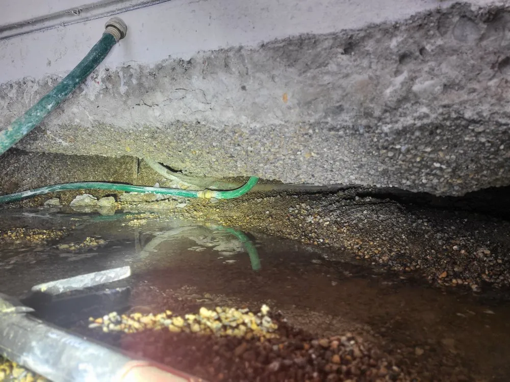 Slide of Who's Your Plumber