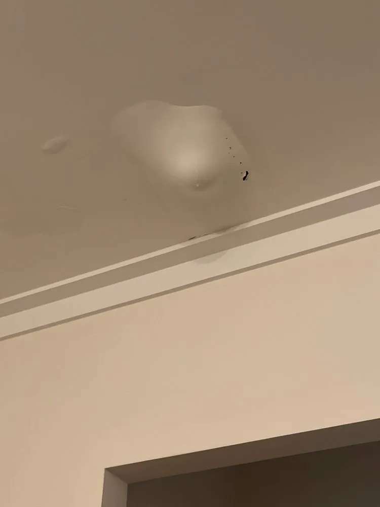 Emergency drain cleaning service in Birmingham, AL - Wilbur's Air Conditioning, Heating & Plumbing