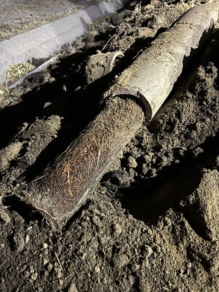 Slide of Wild Land Excavation