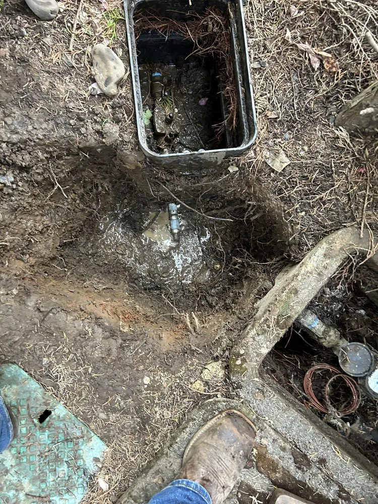 Expert emergency plumbing service in St. Helens, OR - Wild Pine Plumbing