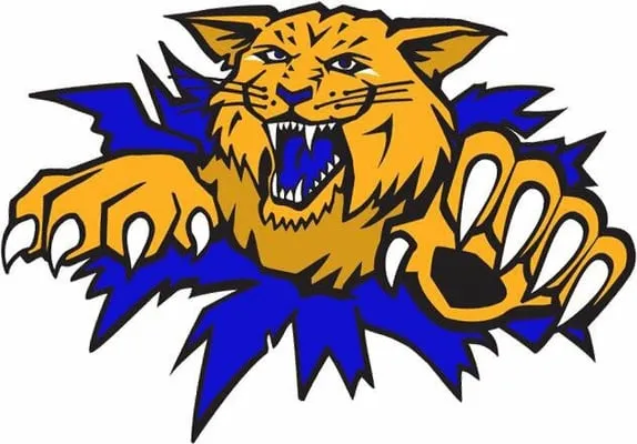 Wildcat Heating, Cooling, and Plumbing