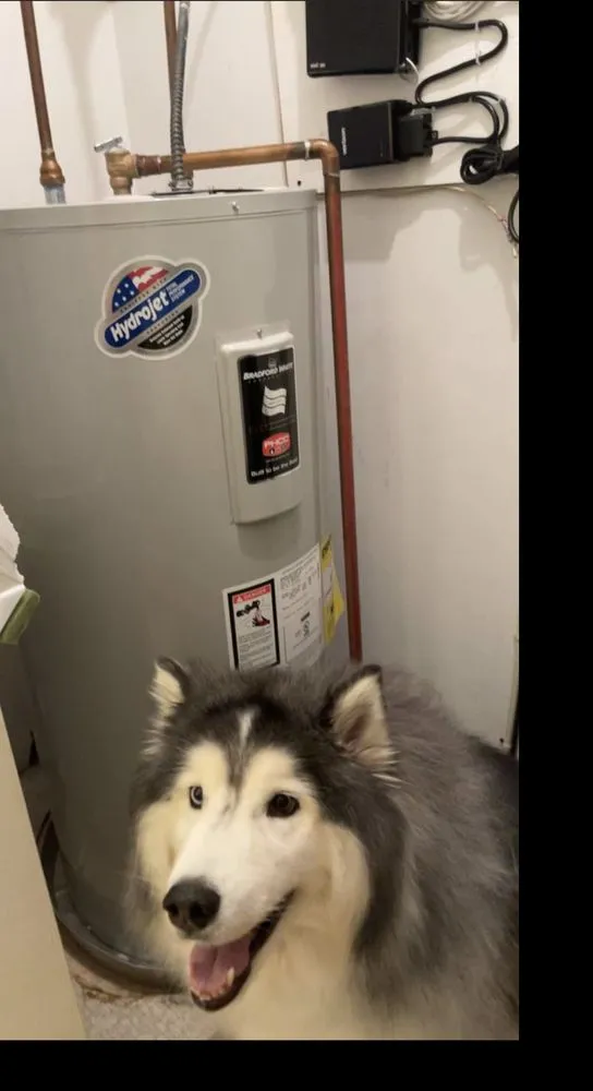 Slide of Wildcat Plumbing Services