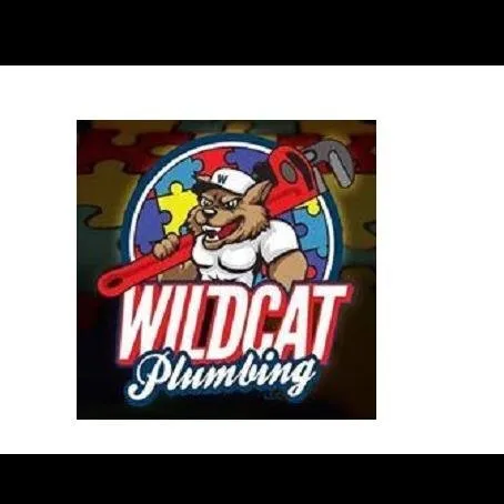 Slide of Wildcat Plumbing