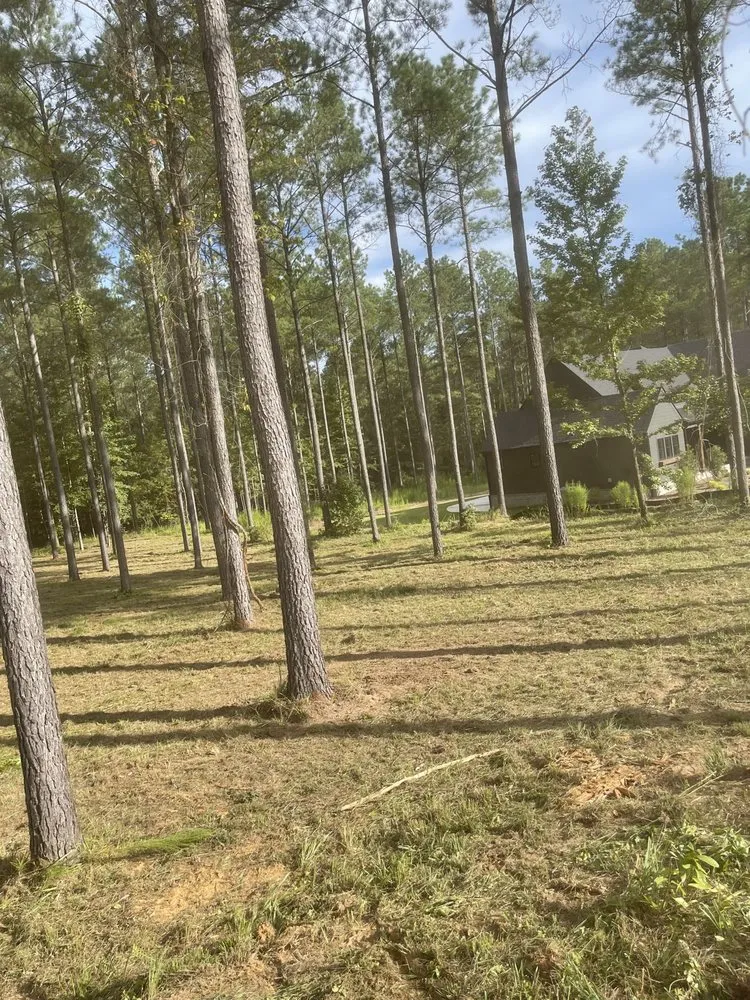 Slide of Wildcat Total Enhancements