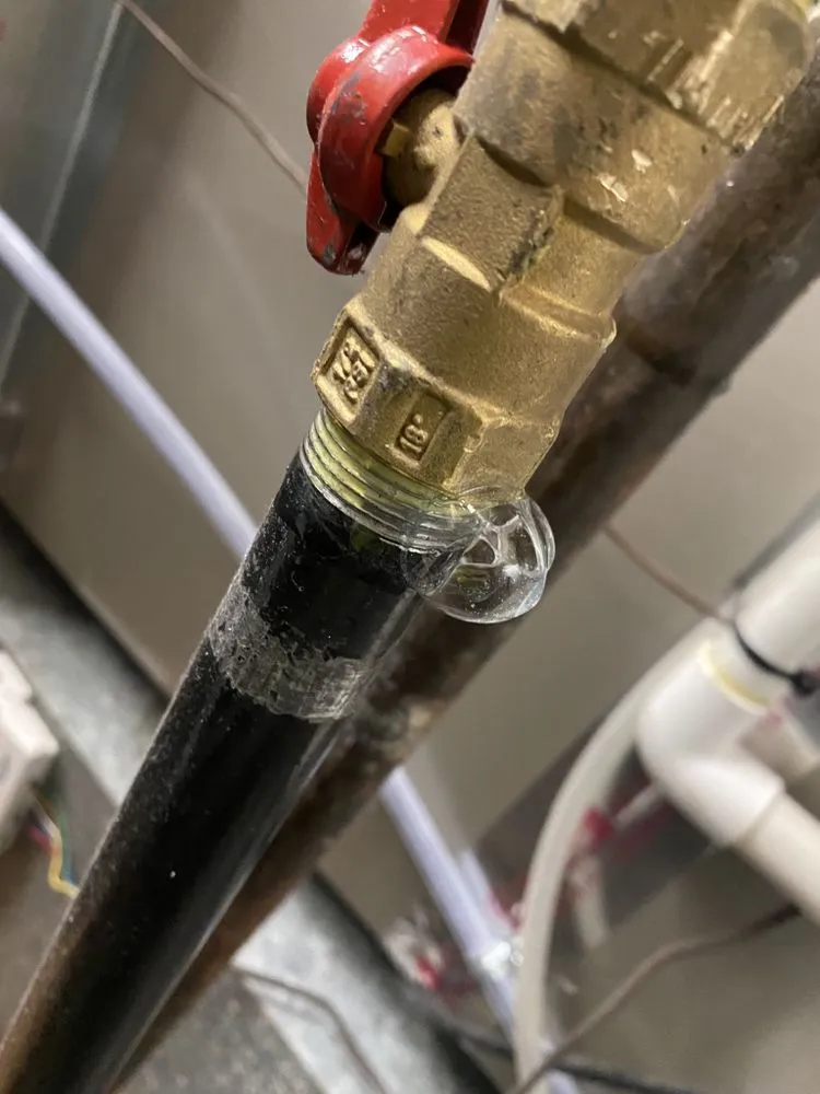 Slide of Wilian The Plumber