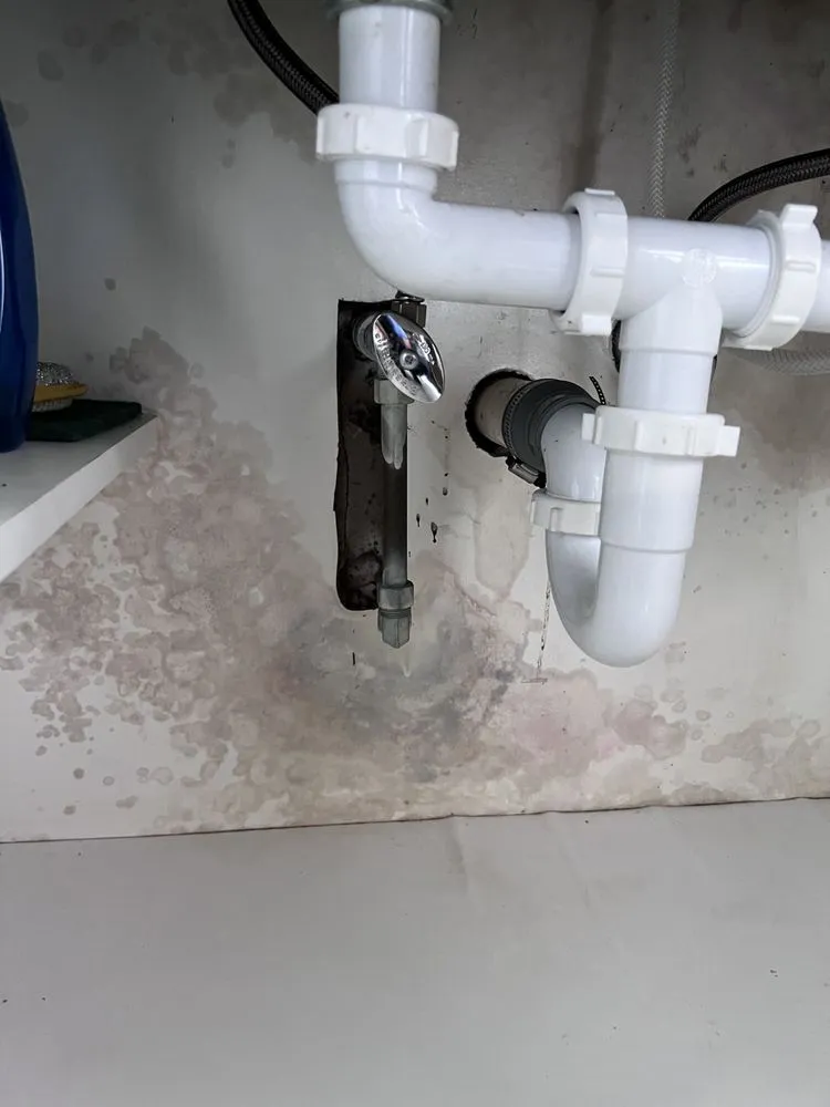 Slide of Will plumbing