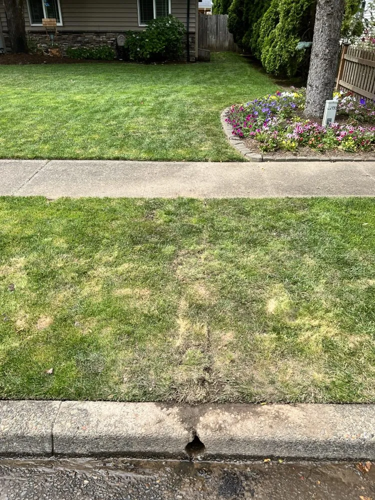 Slide of Willamette Valley Sewer and Drain