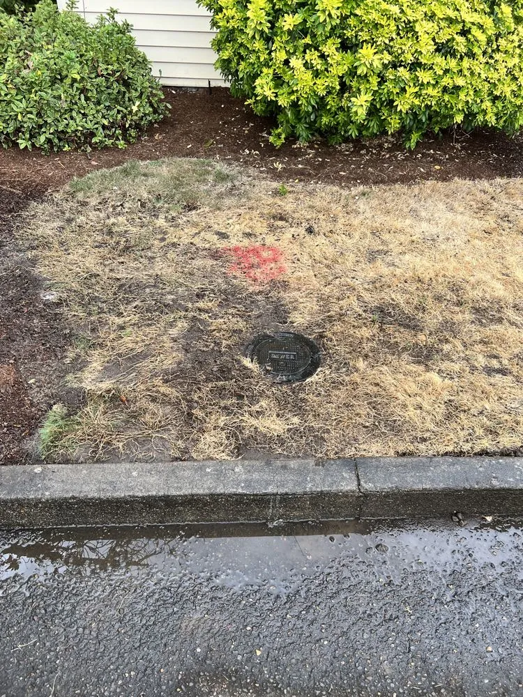 Slide of Willamette Valley Sewer and Drain