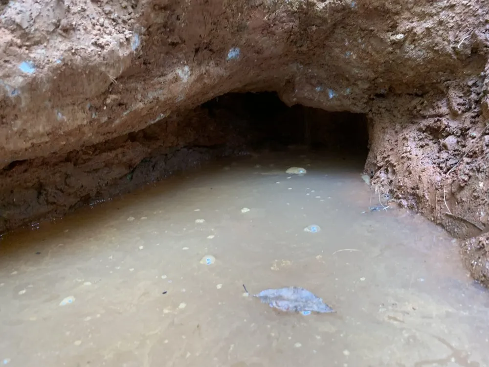 Slide of William Dodds Plumbing Service