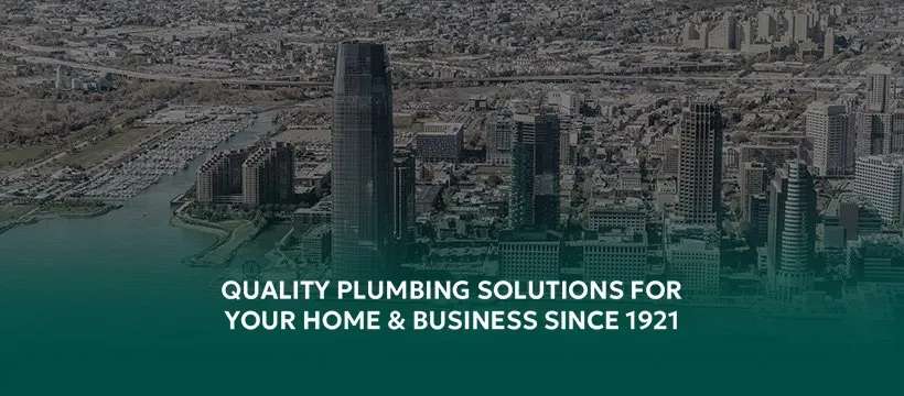 Slide of William J. Guarini