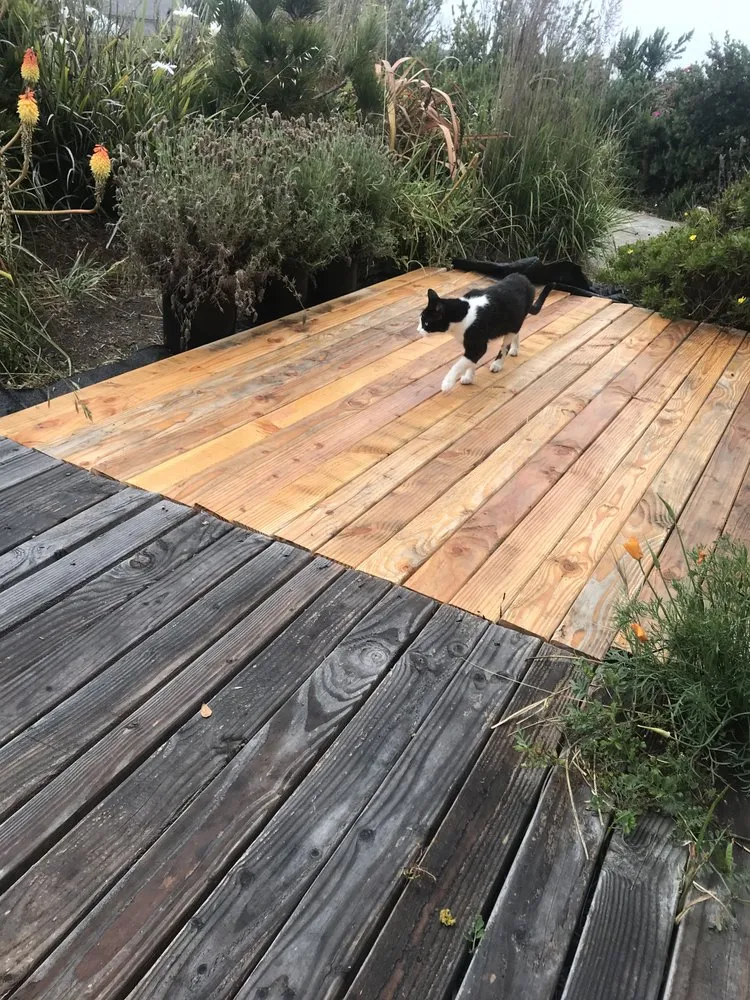 Slide of William The Handyman