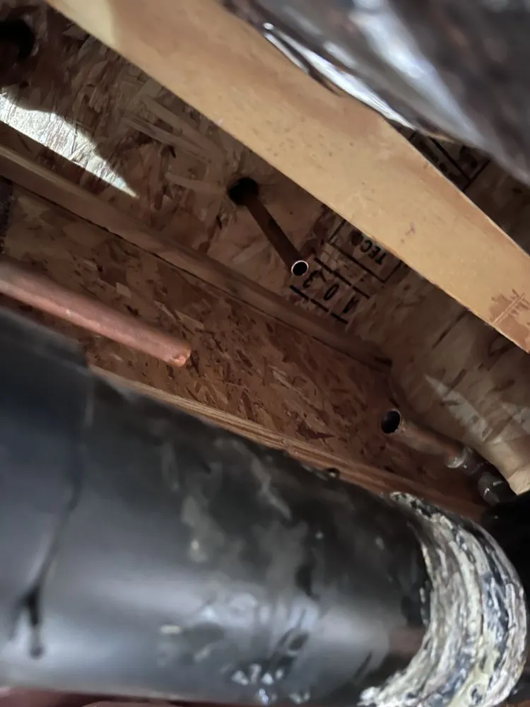 Slide of William The Handyman