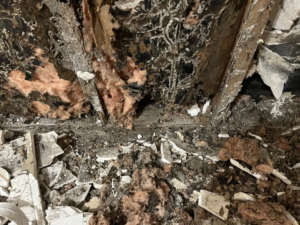 Slide of Williams Investing