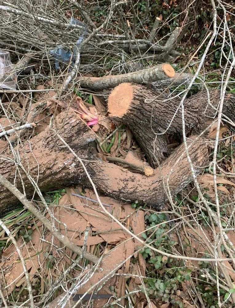 Slide of Williams Investing