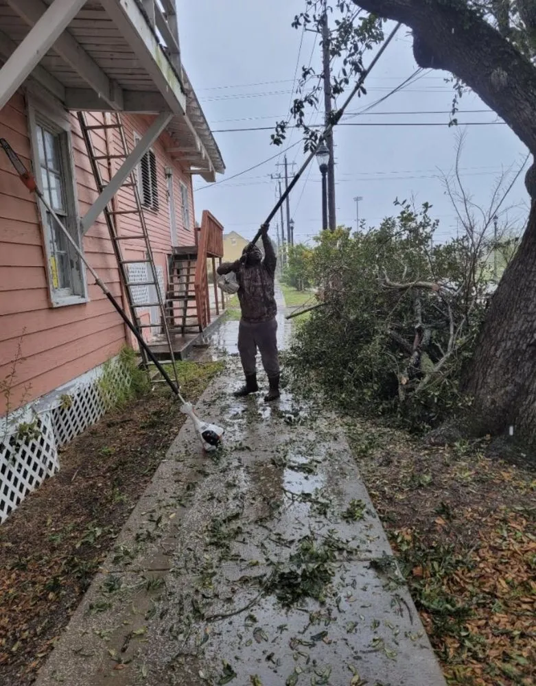 Slide of Williams Investing