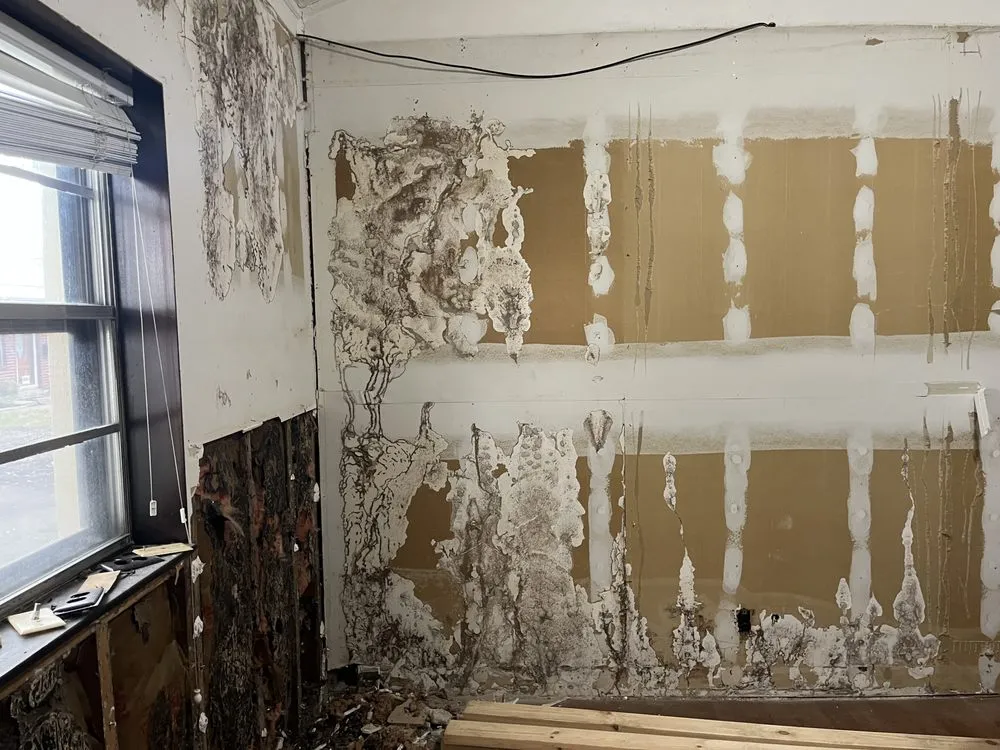 Slide of Williams Investing