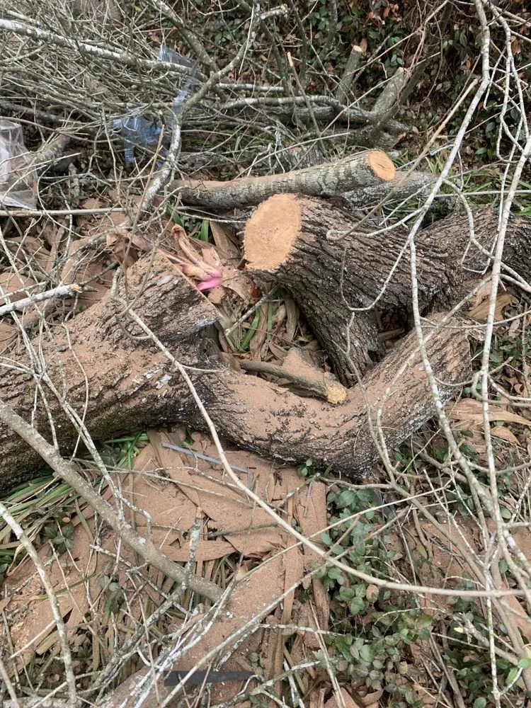 Slide of Williams Investing