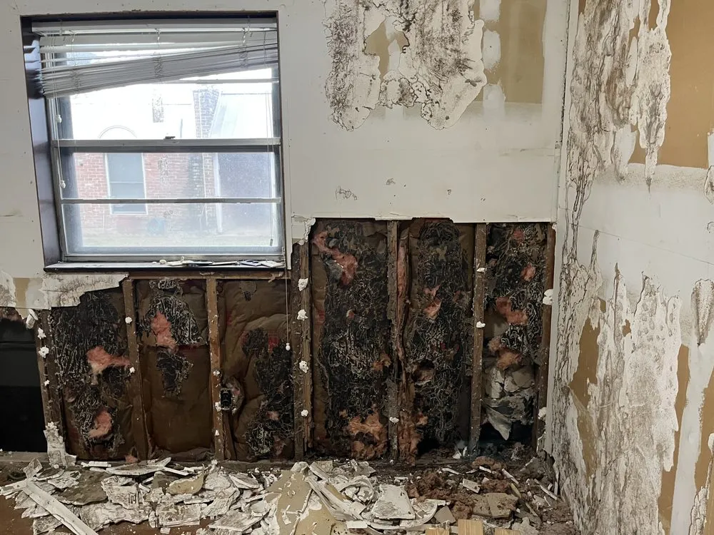 Slide of Williams Investing