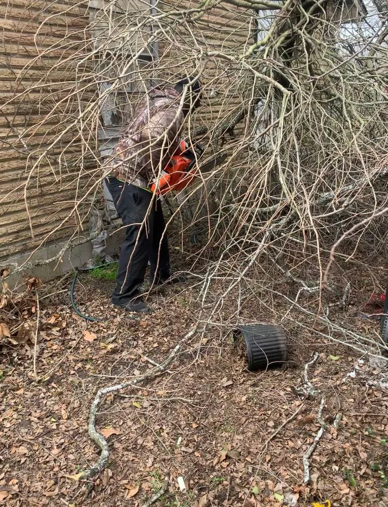 Slide of Williams Investing