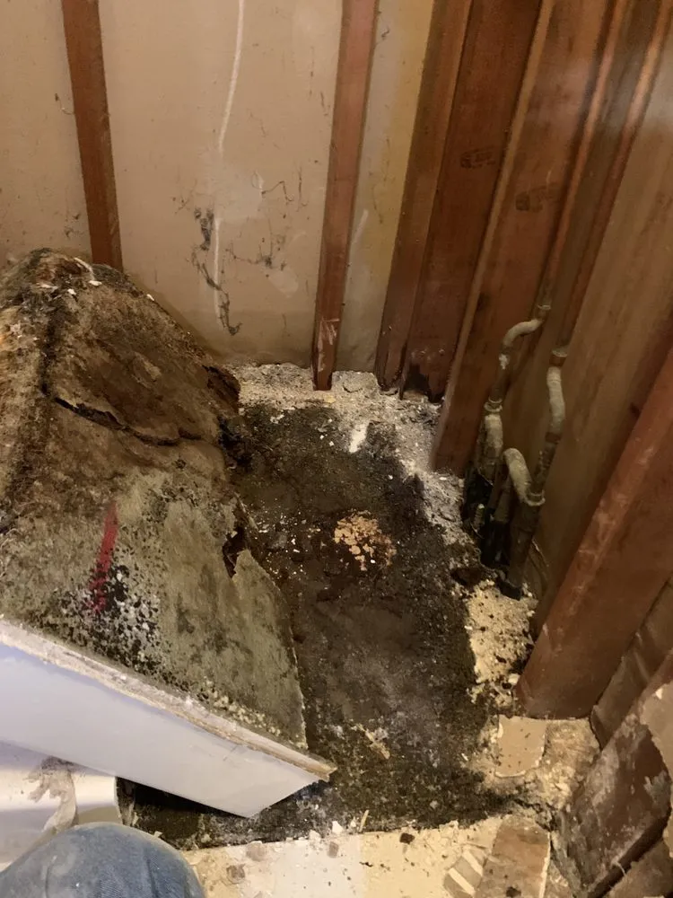 Trusted emergency plumbing experts serving Rancho Cucamonga, CA - Williams Plumbing