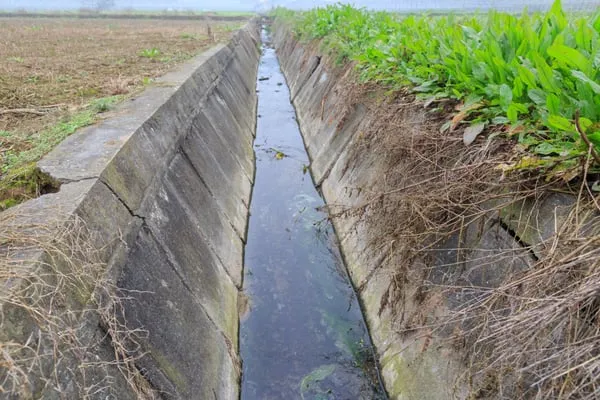 Williamson Farm Drainage