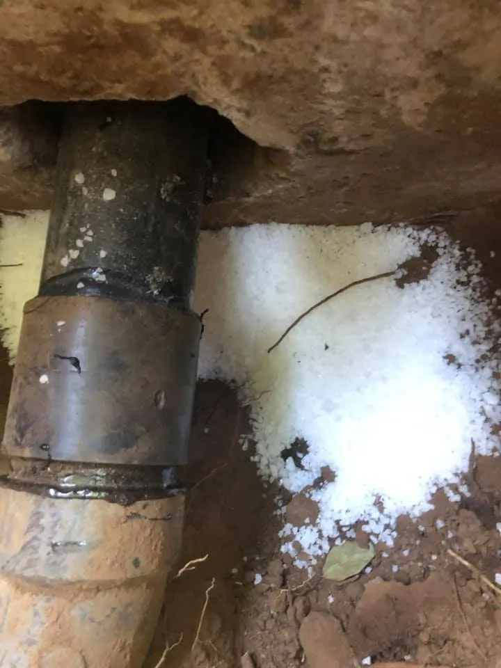 Expert drain cleaning experts serving Three Rivers, CA - Willie Treece Plumbing