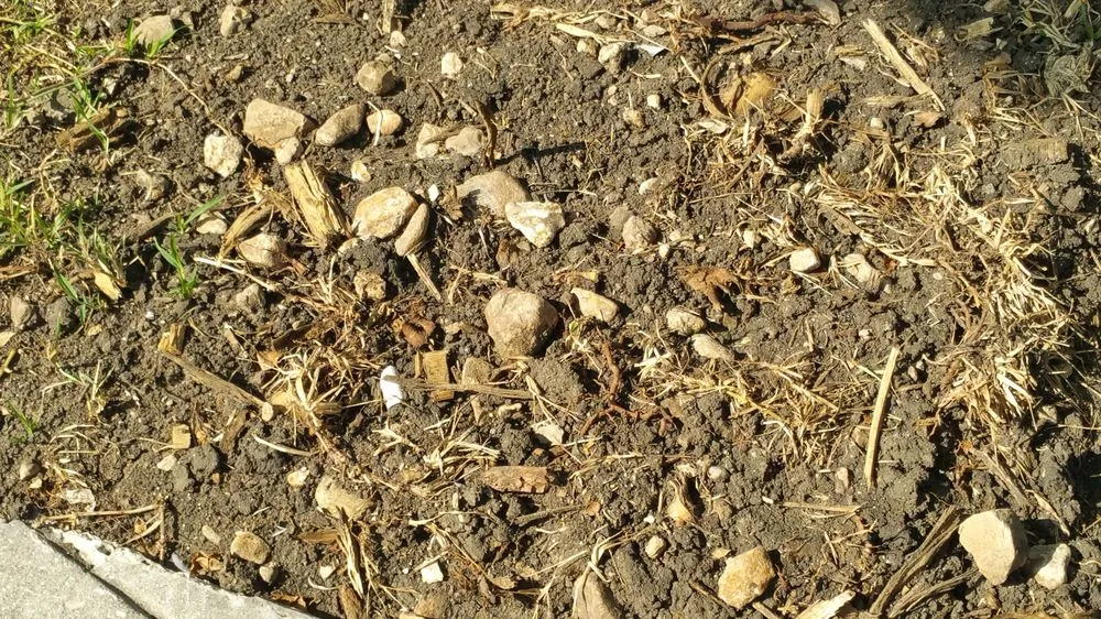 Slide of Will's Plumbing & Testing Service