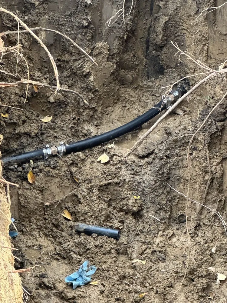 Slide of Wilson Excavation