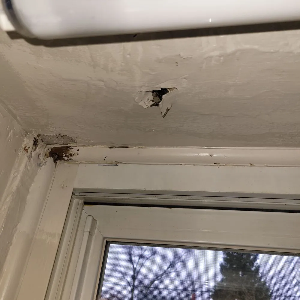 Slide of Wilson Plumbing & Heating