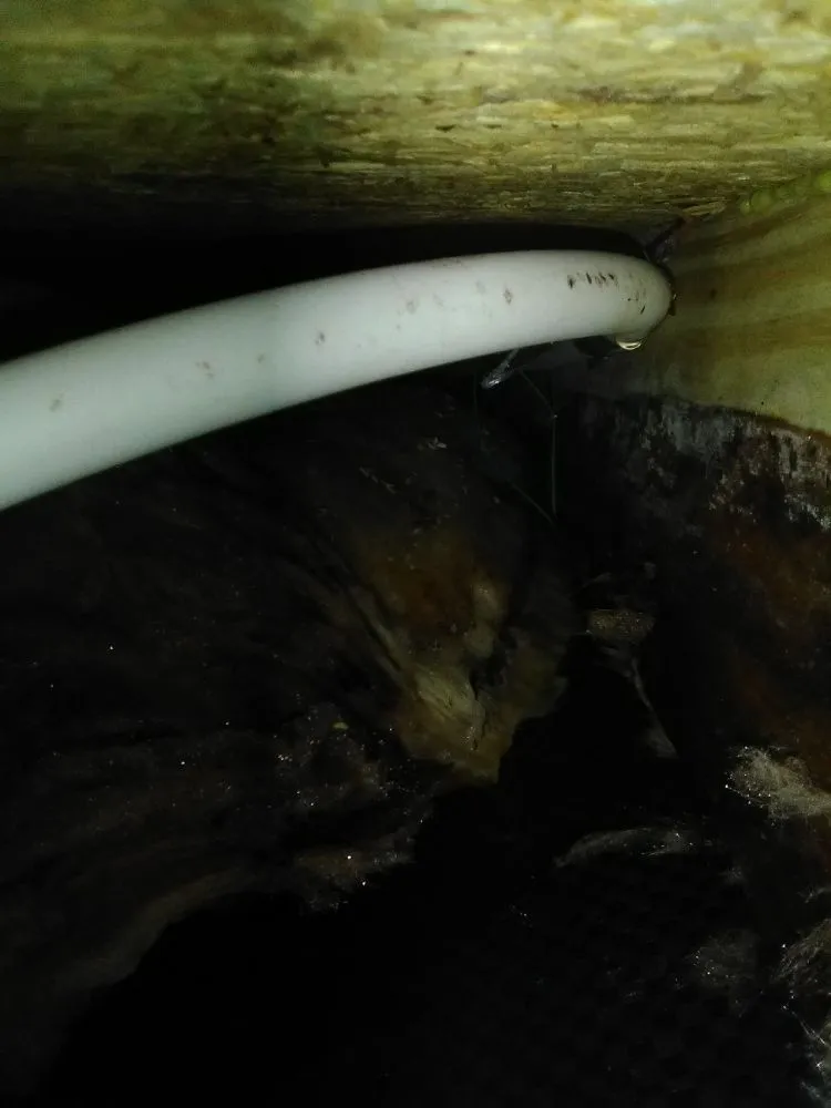 Slide of Wilson Plumbing