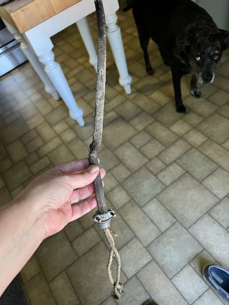 Slide of Wilson Pump