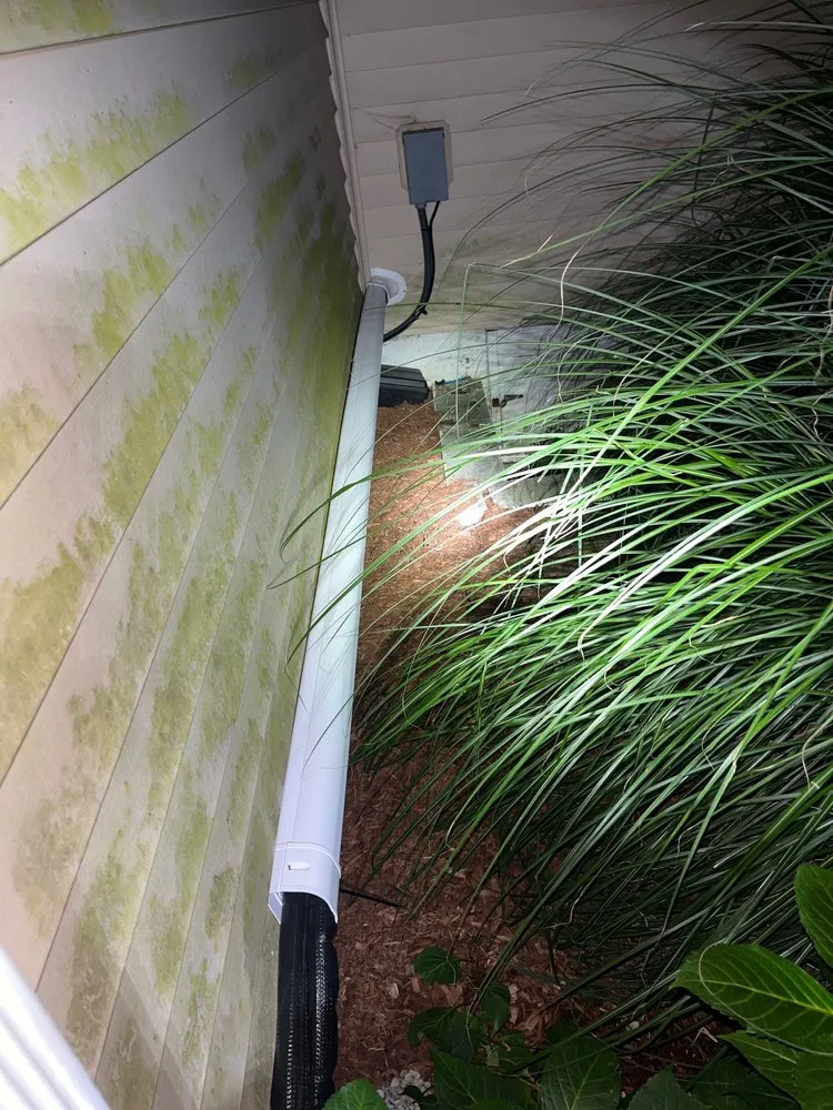 Slide of Wilson's Mechanical