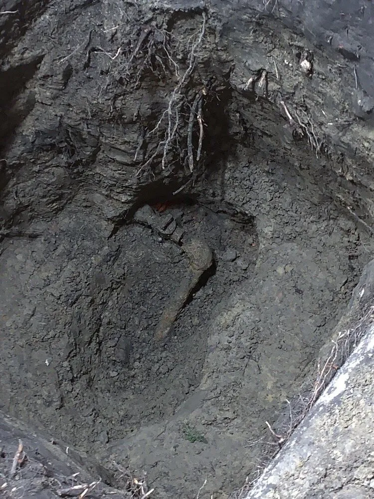 Slide of Wilson’s Plumbing Services