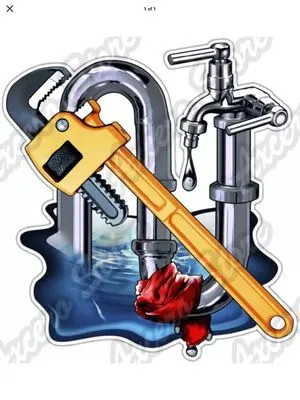 Wilson’s Plumbing Services Logo