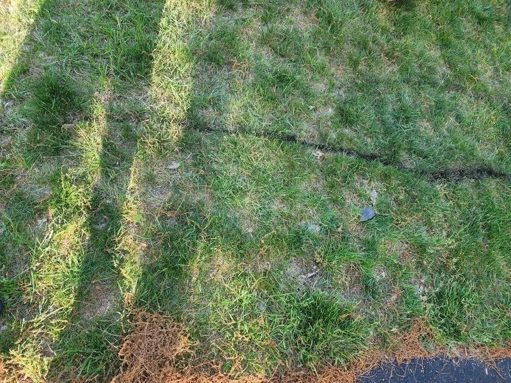 Slide of Wind River Environmental - Walpole