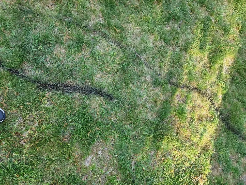 Slide of Wind River Environmental - Walpole