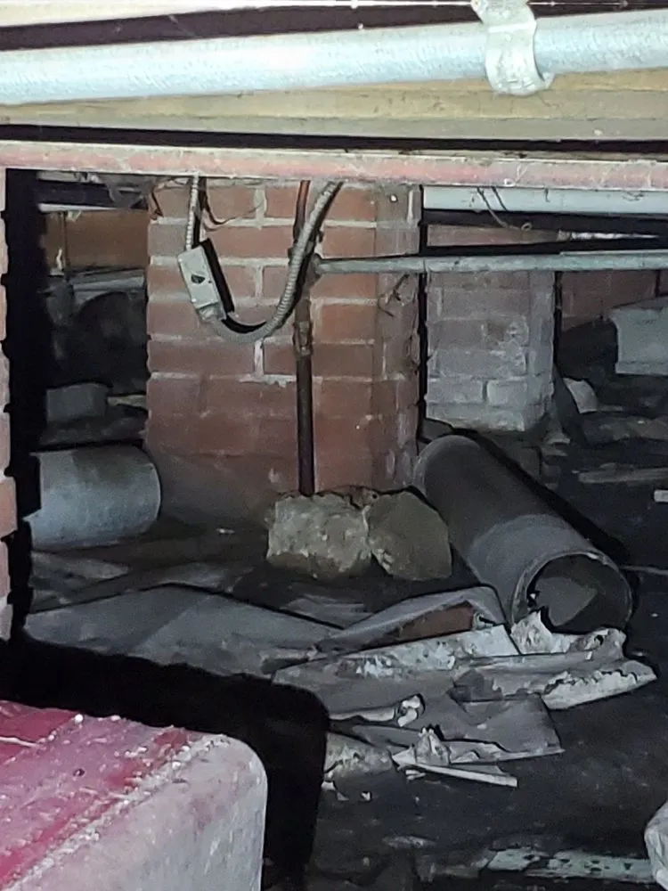 Slide of Windy City Rooter