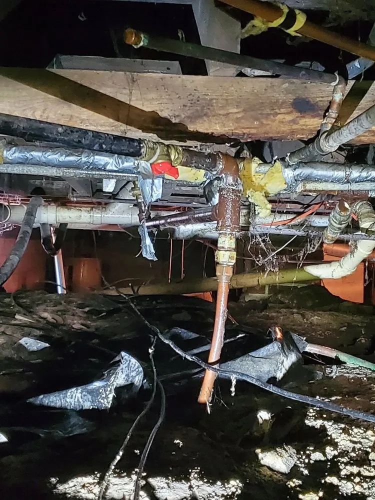 Top-rated drain cleaning for homes in Antioch, IL by Windy City Rooter