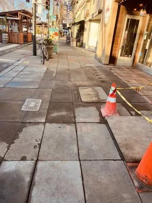 Winston's Plumbing Logo