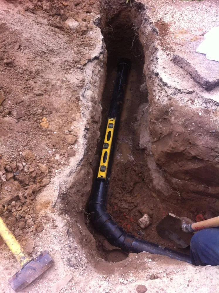 Slide of Wise Choice