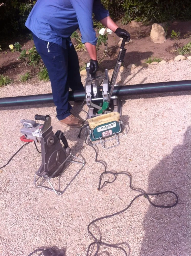 Slide of Wise Choice