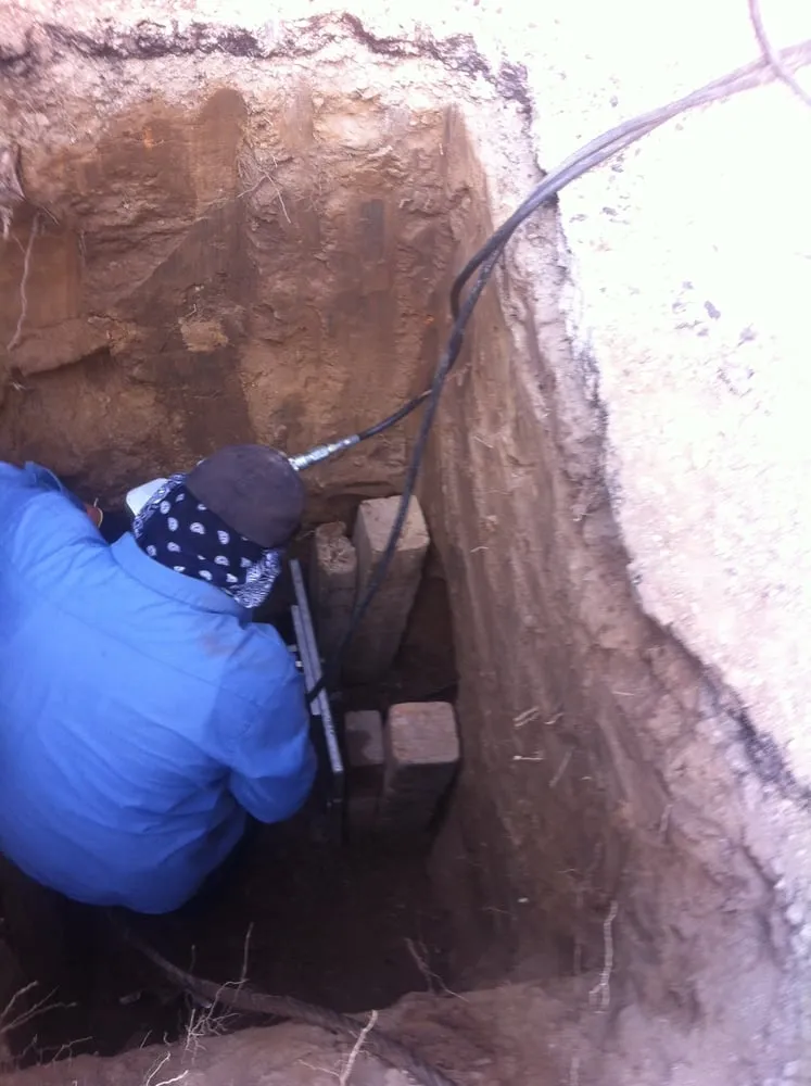 Slide of Wise Choice