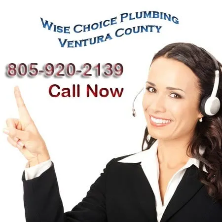 Slide of Wise Choice