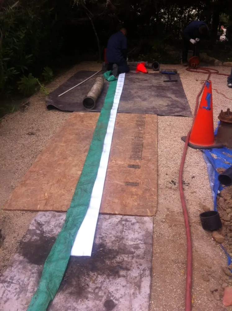 Slide of Wise Choice